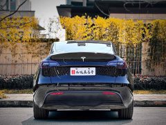 Tesla Model Y 2022 Rear-Wheel Drive - ფოტო 12