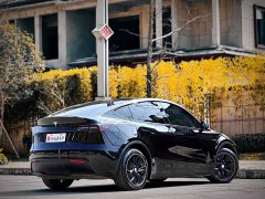 Tesla Model Y 2022 Rear-Wheel Drive - ფოტო 13