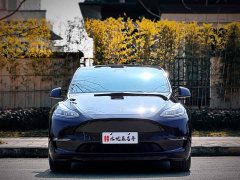 Tesla Model Y 2022 Rear-Wheel Drive - ფოტო 2