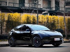 Tesla Model Y 2022 Rear-Wheel Drive - ფოტო 3