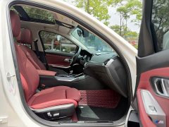 BMW 3 Series 320Li M Sport Package - ფოტო 9