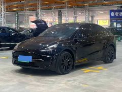 Tesla Model Y Rear-Wheel Drive - ფოტო 1