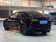 Tesla Model Y Rear-Wheel Drive - ფოტო 4