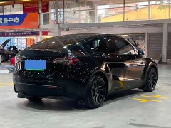 Tesla Model Y Rear-Wheel Drive - ფოტო 6