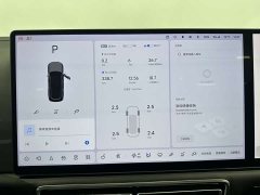 Li Auto L9 Max - ფოტო 11