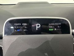 Li Auto L9 Max - ფოტო 12