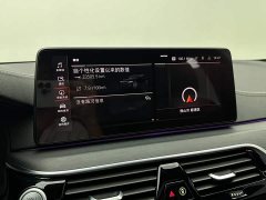 BMW 5 Series 530Li Premier M Sport Package - ფოტო 15