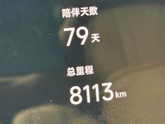 XPeng GX Extended Range 1585 AWD Ultra - ფოტო 13