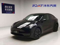 Tesla Model Y Rear-Wheel Drive - ფოტო 1