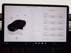 Tesla Model Y Rear-Wheel Drive - ფოტო 16