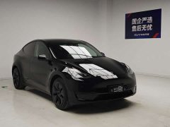 Tesla Model Y Rear-Wheel Drive - ფოტო 3