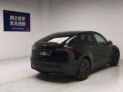 Tesla Model Y Rear-Wheel Drive - ფოტო 4
