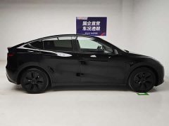Tesla Model Y Rear-Wheel Drive - ფოტო 7