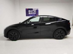 Tesla Model Y Rear-Wheel Drive - ფოტო 9
