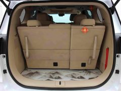 Buick GL8 ES Luxe Enjoyment Edition - ფოტო 17
