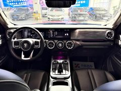 Tank 300 2021 Off-Road Edition 2.0T Conqueror - ფოტო 11