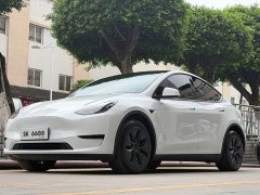 Tesla Model Y Rear-Wheel Drive - ფოტო 1