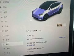 Tesla Model Y Rear-Wheel Drive - ფოტო 12