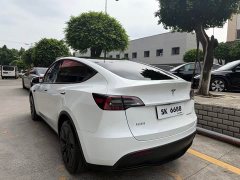 Tesla Model Y Rear-Wheel Drive - ფოტო 6