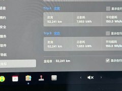 Tesla Model Y 2022 Facelift Rear-Wheel Drive - ფოტო 11