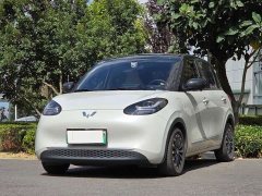Wuling Binguo 333km Joy Edition - ფოტო 1