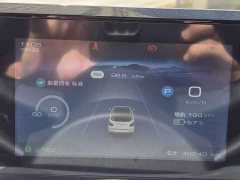 Wuling Binguo 333km Joy Edition - ფოტო 11