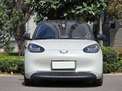 Wuling Binguo 333km Joy Edition - ფოტო 2