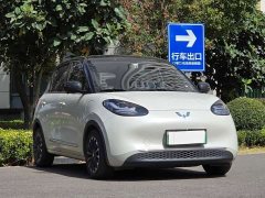 Wuling Binguo 333km Joy Edition - ფოტო 3
