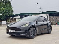 Tesla Model Y Rear-Wheel Drive - ფოტო 1