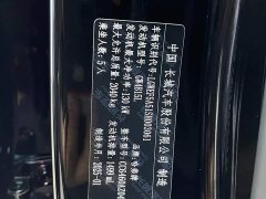 Great Wall Dachshund 2024 1.5T DCT Border Collie Edition - ფოტო 19