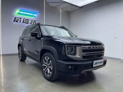 Great Wall Dachshund 2024 1.5T DCT Border Collie Edition - ფოტო 8