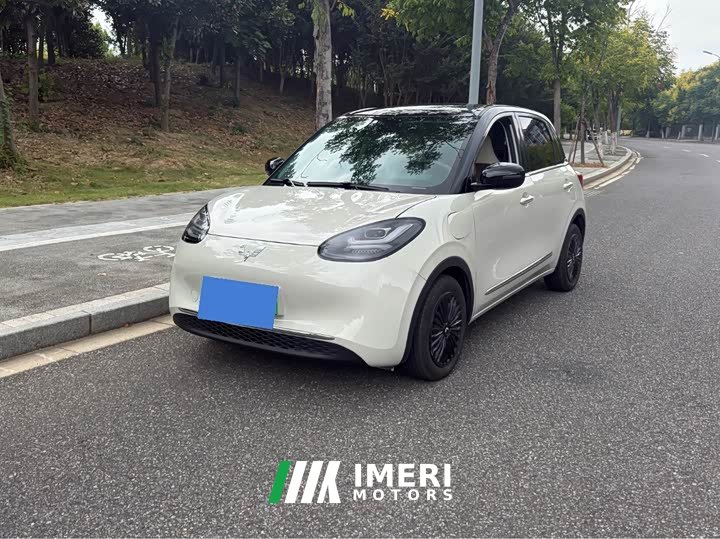 Wuling Binguo 2023 333km Joy Edition - ავტომობილი ჩინეთიდან