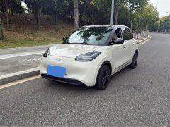 Wuling Binguo 2023 333km Joy Edition - ფოტო 1