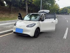 Wuling Binguo 2023 333km Joy Edition - ფოტო 2