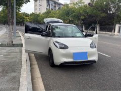 Wuling Binguo 2023 333km Joy Edition - ფოტო 3
