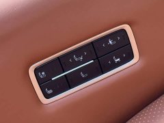 Buick GL8 Land Business Class Comfort DG Edition - ფოტო 16