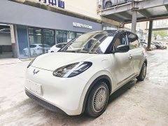 Wuling Binguo 2024 333km Joy Edition - ფოტო 1