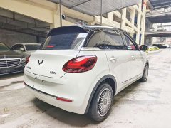 Wuling Binguo 2024 333km Joy Edition - ფოტო 17