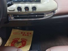 Wuling Binguo 2024 333km Joy Edition - ფოტო 7