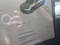 Tesla Model 3 Performance All-Wheel Drive - ფოტო 18