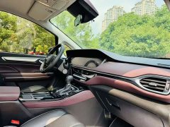 GAC Aion M6 2023 PRO 270T DCT Luxury - ფოტო 10