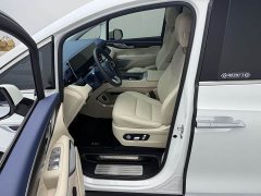 Great Wall WEY Shanshan New Energy 2023 Four-Wheel Drive Flagship Edition - ფოტო 11