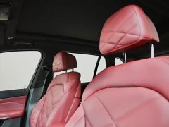 BMW X5 Facelift xDrive 40Li Luxury M Sport Package - ფოტო 14