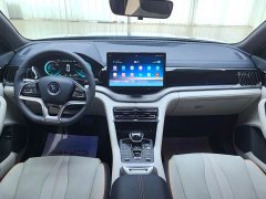 BYD Song Plus New Energy DM-i 51KM Premium Edition - ფოტო 13