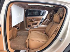 Lexus Zun S800 2025 Extended Range Starlight Executive Edition 4-Seater (192-line LiDAR) - ფოტო 12