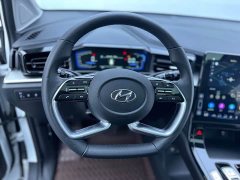 Hyundai Kustu Cosworth 270TGDi LUX Prestige Edition - ფოტო 17