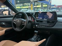 Lexus ES 2022 300h Excellence Edition - ფოტო 9