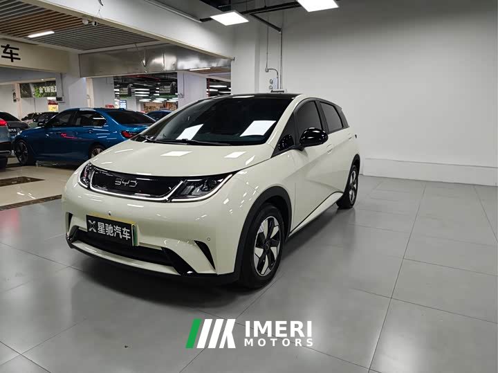 BYD Dolphin Glory Edition 420km Fashion Version - ავტომობილი ჩინეთიდან
