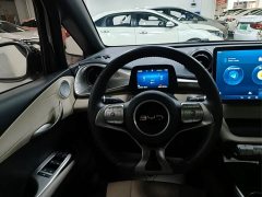 BYD Dolphin Glory Edition 420km Fashion Version - ფოტო 8