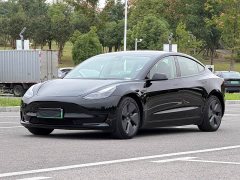 Tesla Model 3 Standard Range RWD Upgrade 3D6 - ფოტო 1